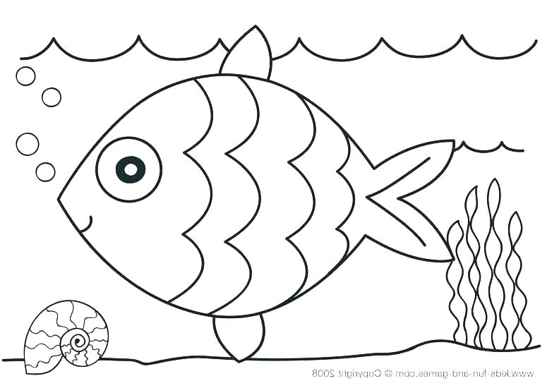 775x550 Ocean Coloring Pages For Preschool Ocean Animals Coloring Pages