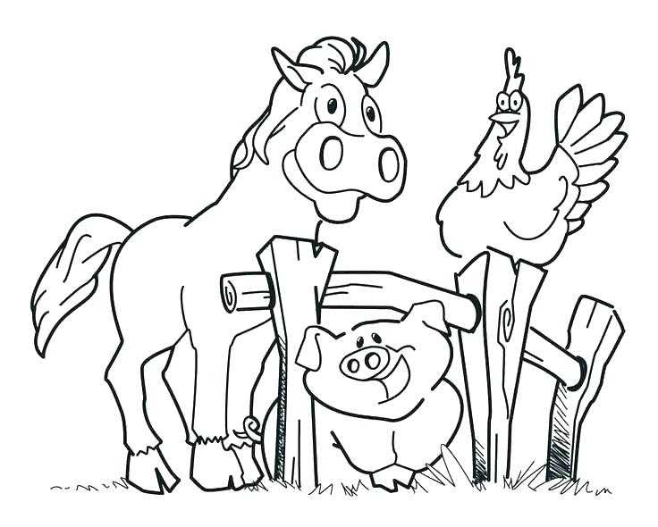 736x590 Zoo Animals Coloring Page Preschool Coloring Pages Animals Zoo