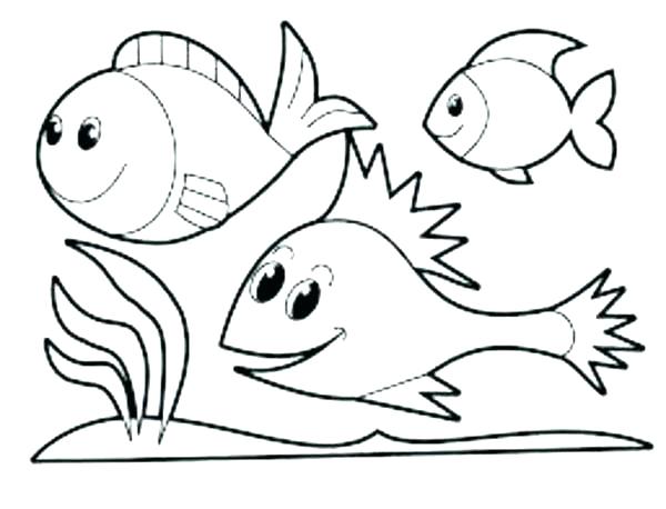 600x458 Cool Animal Coloring Pages Animal Coloring Pages For Preschoolers