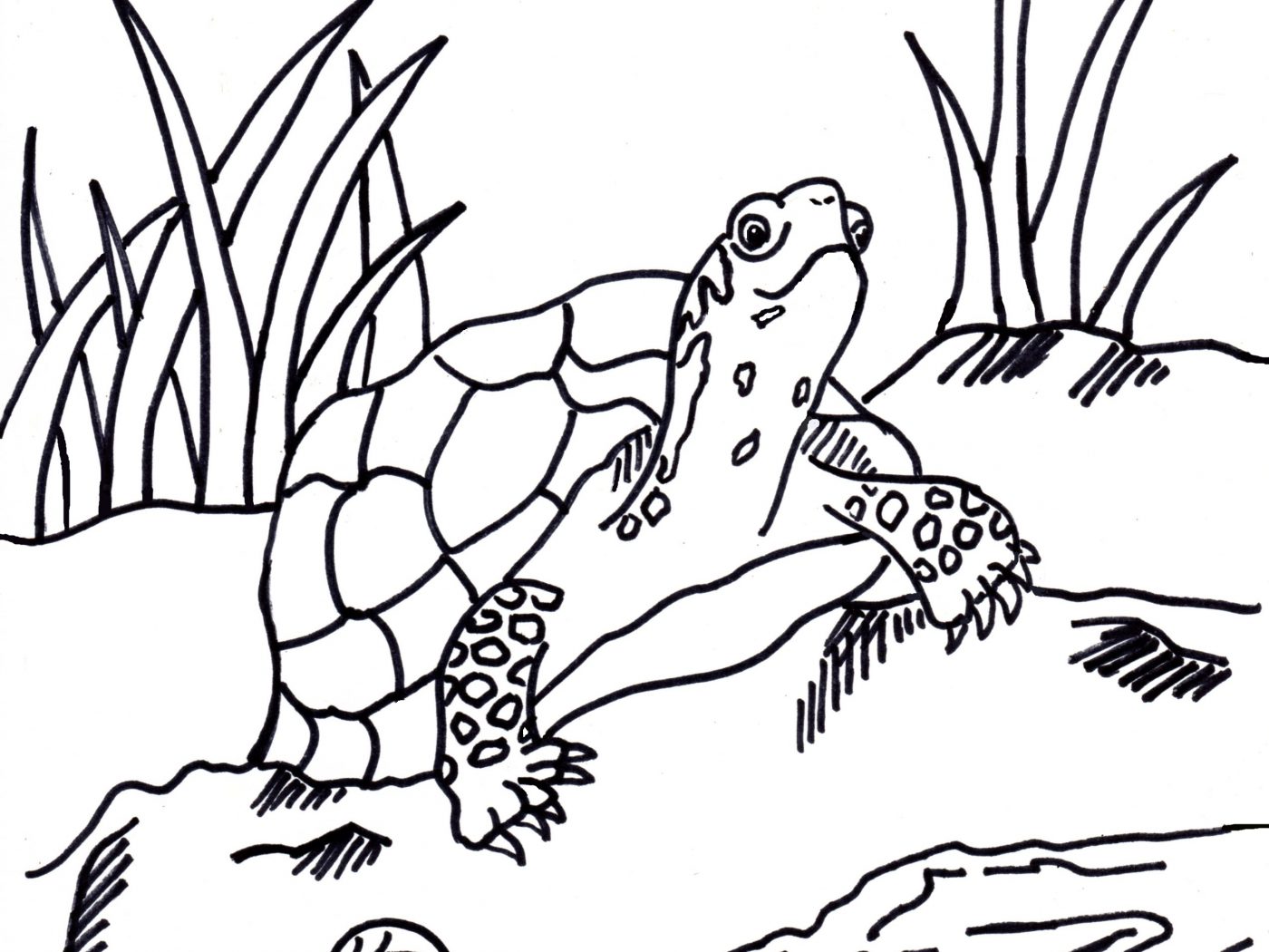 1400x1050 Box Coloringages For Kids Lunch Toolresent Crayon Gift Chocolates