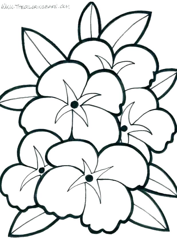 618x828 Coloring Images Of Flowers Flower Coloring Pages For Kids To Print
