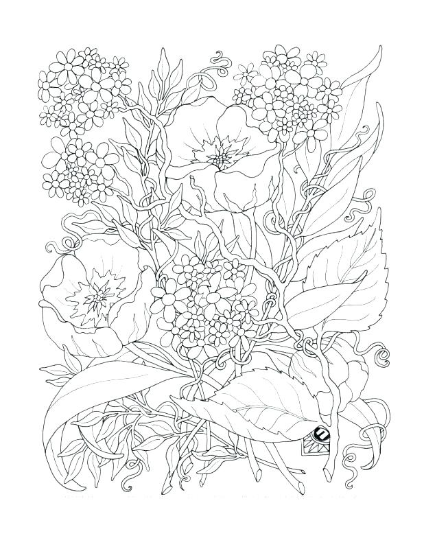 618x800 Pretty Flower Coloring Pages Coloring Pages Of Flowers And Hearts