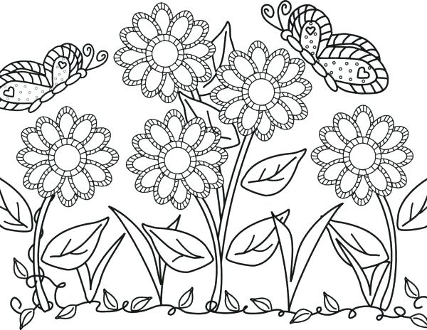 600x464 Cute Butterfly Coloring Pages Butterflies Coloring Page Coloring