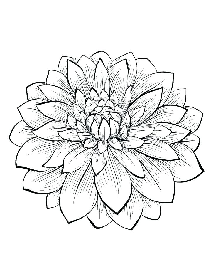 736x950 Elegant Hard Flower Coloring Pages And Pretty Flower Coloring