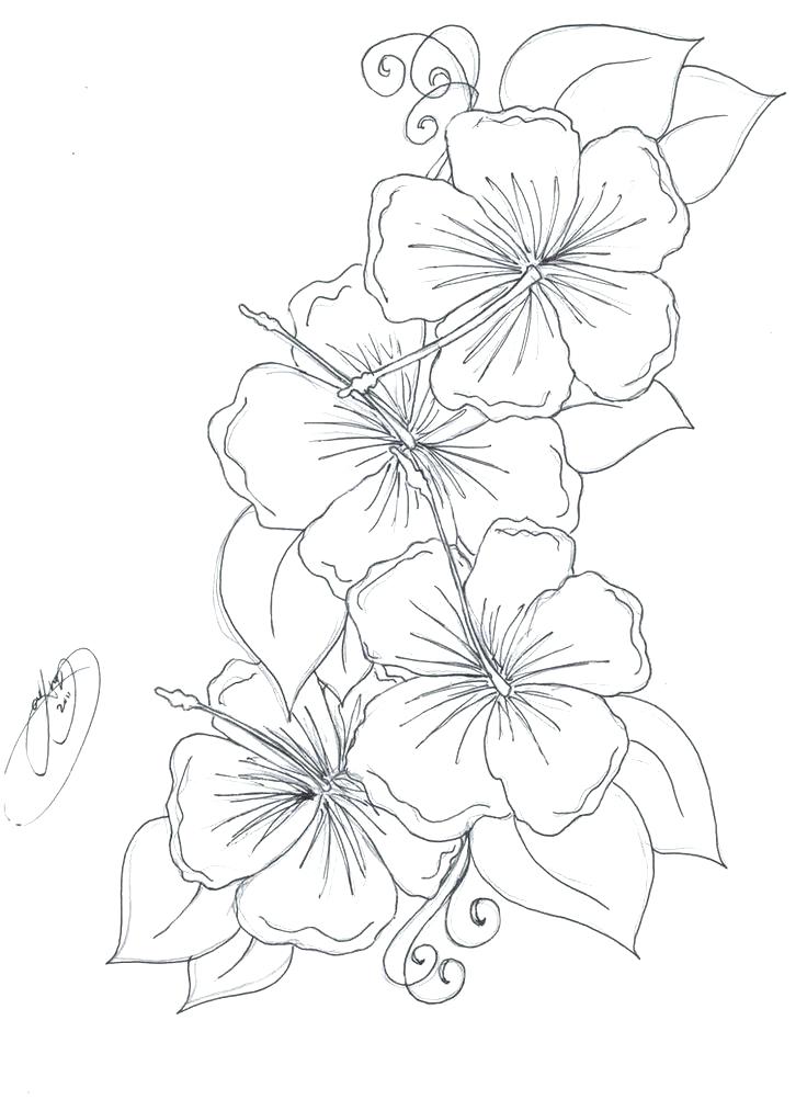 736x1013 Flower Vase Coloring Pages Pretty Flowers Coloring Pages Printable