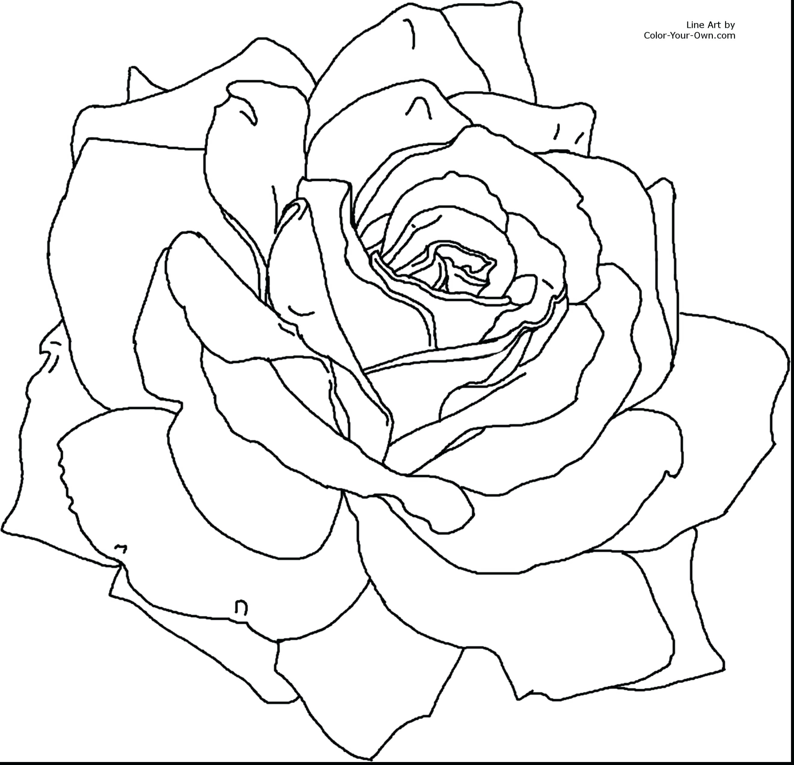 2640x2542 New Printable Flower Coloring Pages For Girls Gallery Printable