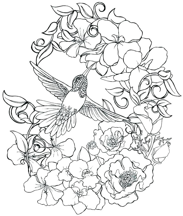 736x866 Realistic Flower Coloring Pages Detailed Flower Coloring Pages