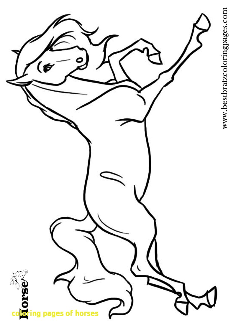 800x1120 Coloring Pages Of Horses With Horse Coloring Pages Printables