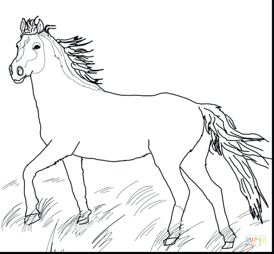 878x812 Cute Horse Coloring Pages Great Wild Horse Coloring Pages