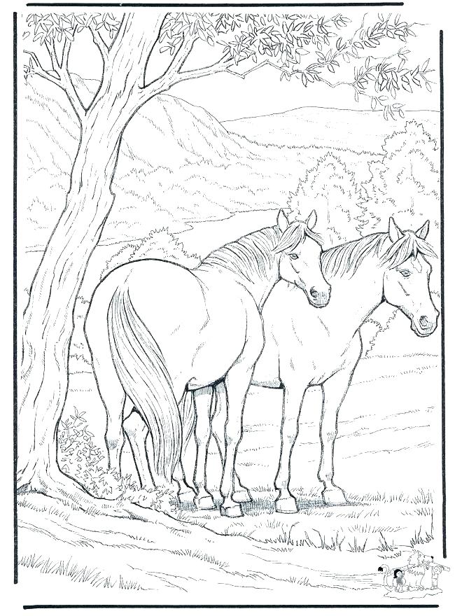 660x880 Free Seahorse Coloring Pages Horse Coloring Pages Horse Coloring