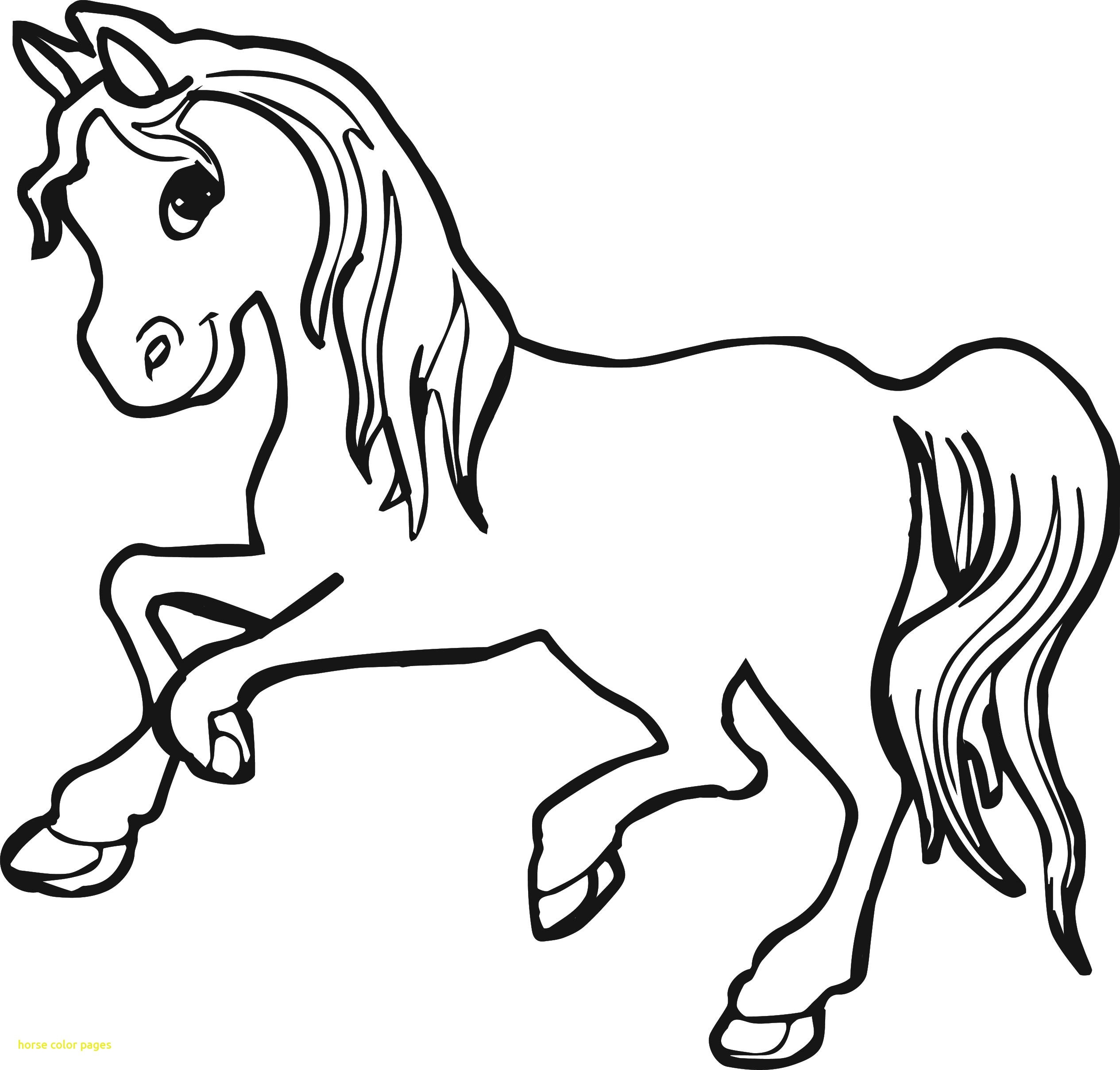 2530x2416 Fresh Horses Coloring Pages Pdf