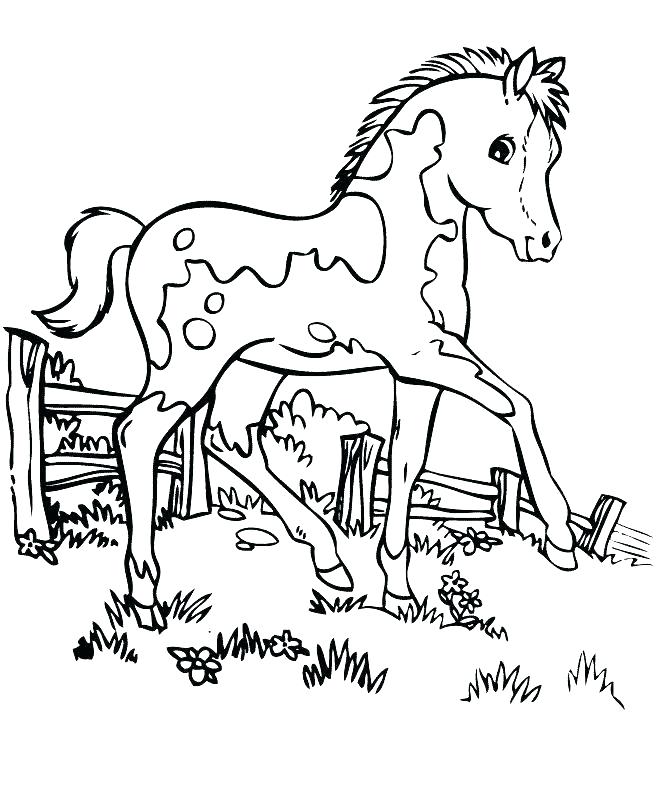 663x806 Horse Coloring Pages Printable Horse Coloring Pages Pretty Horse