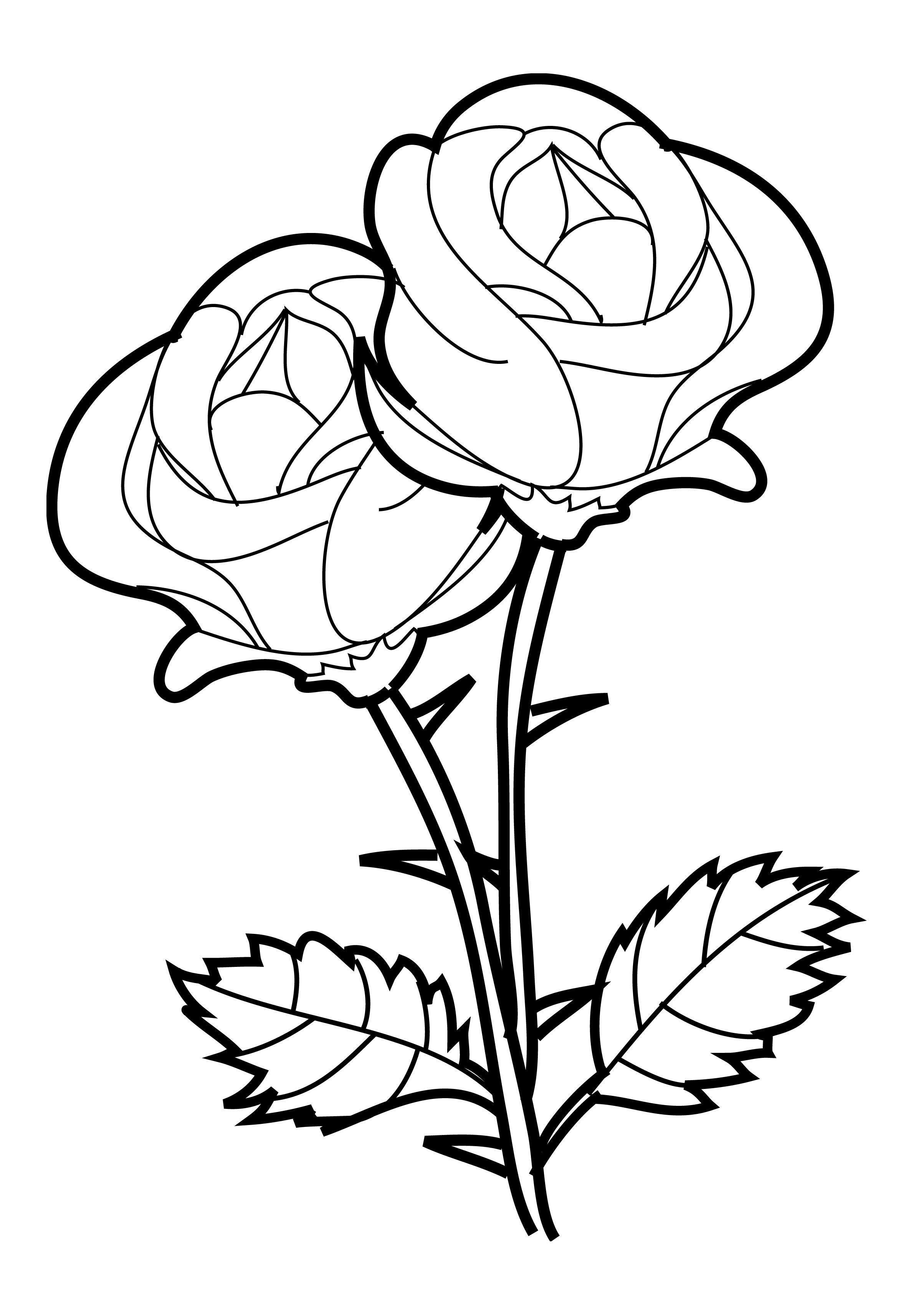 2407x3366 Beautiful Rose Coloring Pages Pixels Kleurplaten