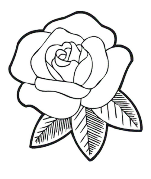 500x592 Rose Coloring Pages Download Cute Roses Coloring Page Or Print