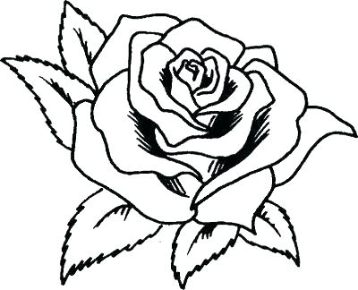 400x324 Rose Coloring Pages Beautiful Rose Coloring Page Rose Coloring