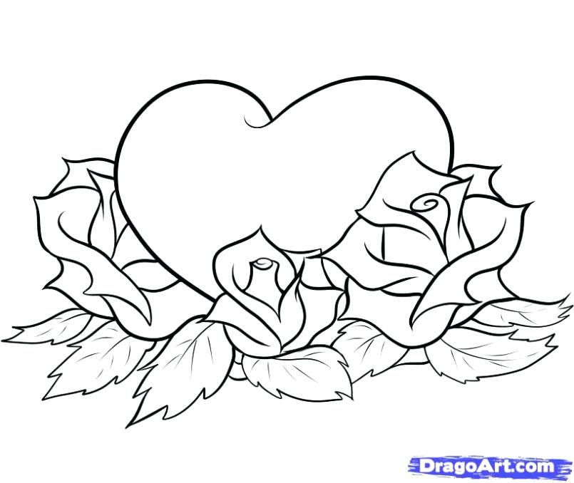 805x678 Roses Coloring Pages Printable Coloring Pictures Of Roses Rose