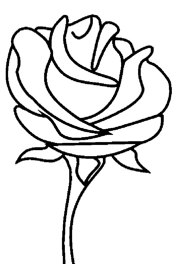 600x918 Beautiful Rose Picture Coloring Page