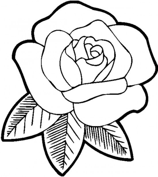 550x614 Best Beautiful Rose Coloring Pages Free Printable