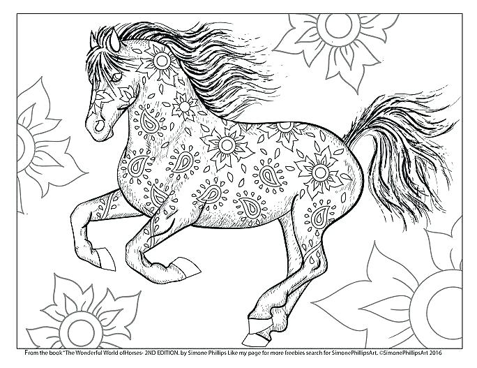 684x527 Beautiful Horse Coloring Pages Beautiful Princess And Her Horse