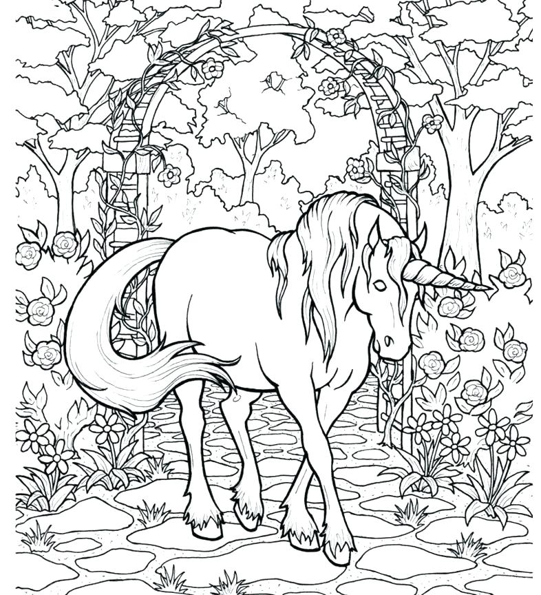 786x864 Unicorn Coloring Pages Printable Unicorn Coloring Pages Printable