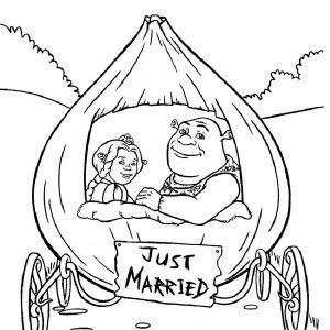 300x300 Shrek, Shrek And Princess Fiona In Onion Carriage They Were Just