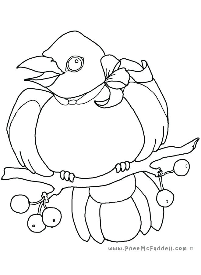 660x900 Princess Diana Coloring Pages Little Crow Coloring Page Princess