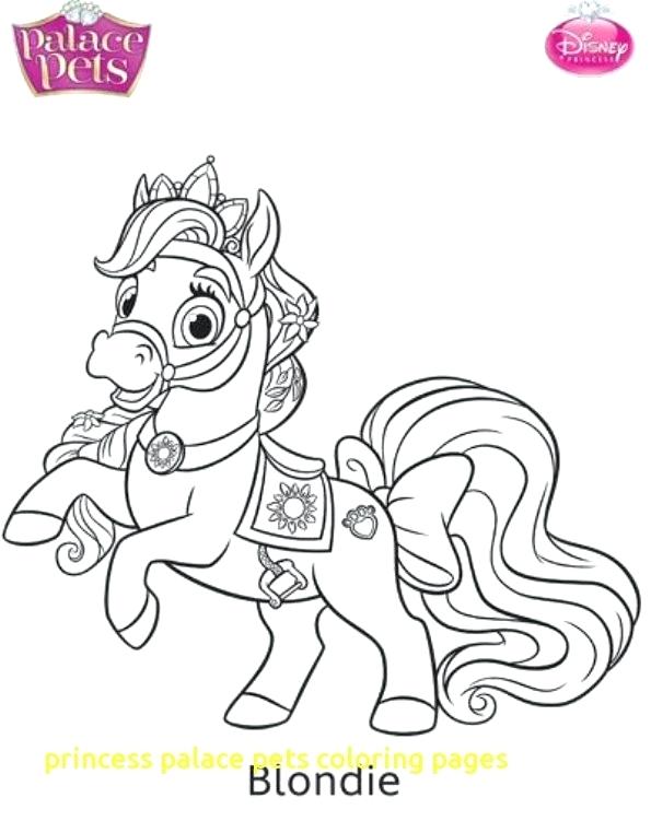 595x751 Princess Pets Coloring Pages
