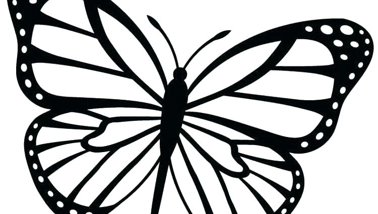 750x425 Butterfly Coloring Pages For Adults Printable Butterfly Coloring
