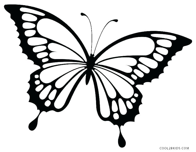 800x620 Cute Butterfly Coloring Pages Butterflies Coloring Pages Coloring