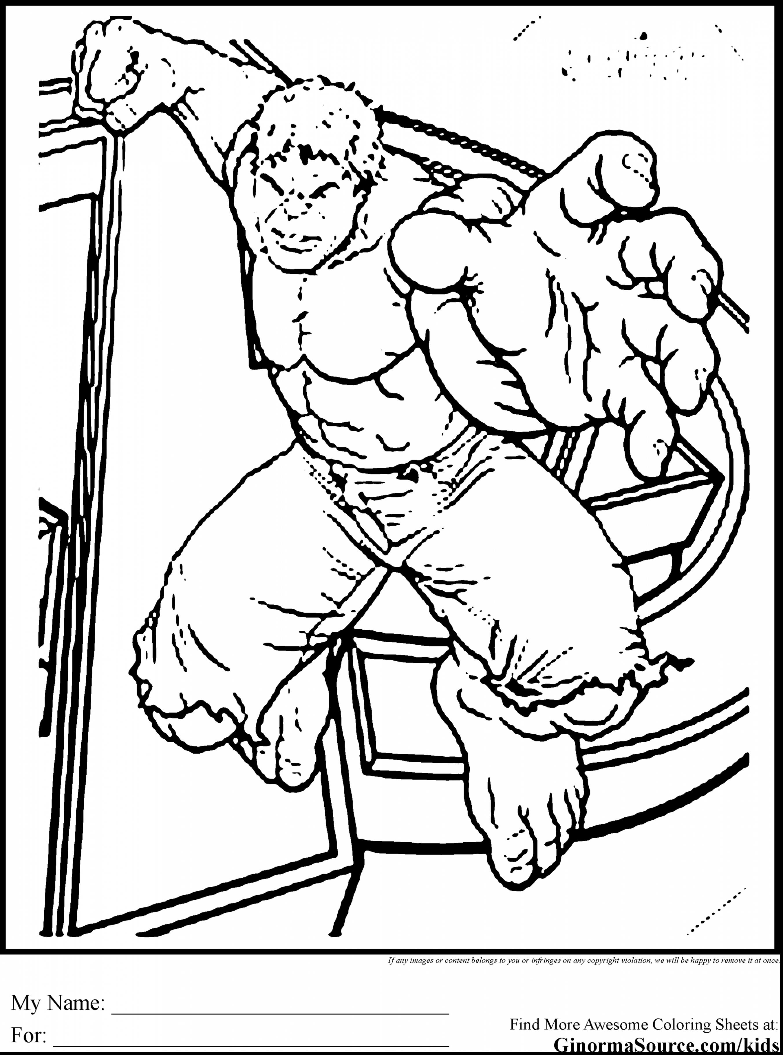 2704x3641 Incredible Hulk Coloring Pages To Print