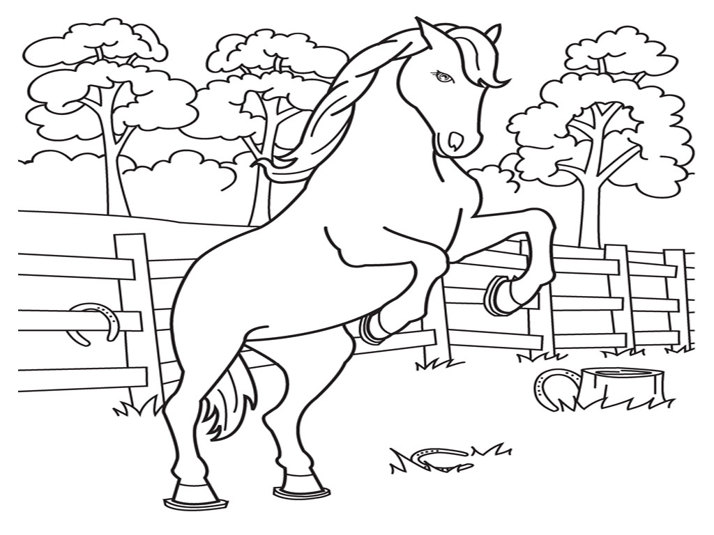1024x768 Horse Colouring Pages To Print