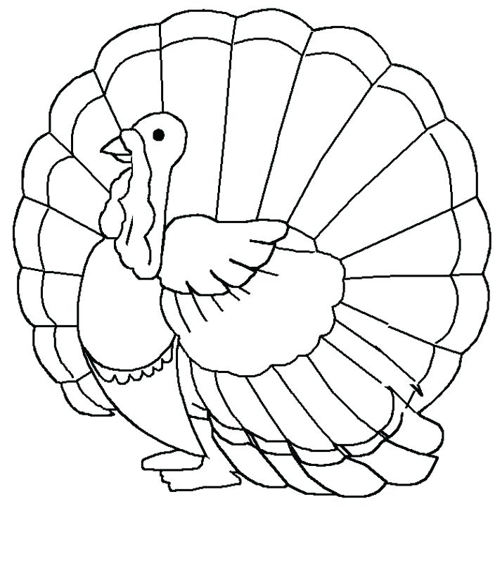 704x807 Attractive Turkey Coloring Sheets Preschool Photos Of Humorous