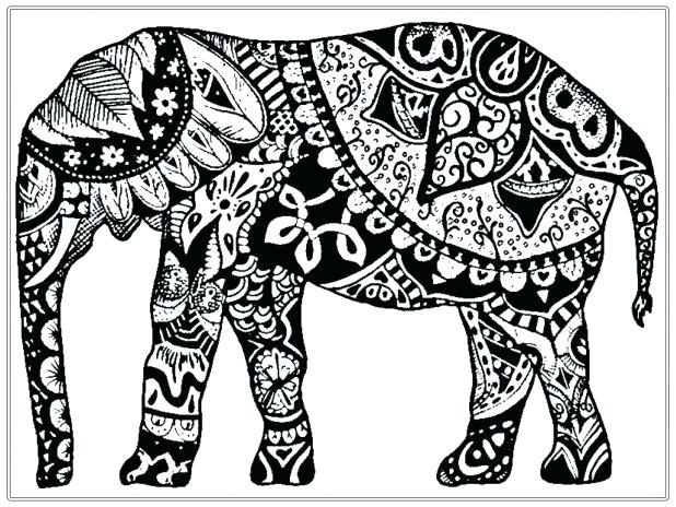 618x464 Coloring Pages Elephants Adult Coloring Pages Free Page Elephant