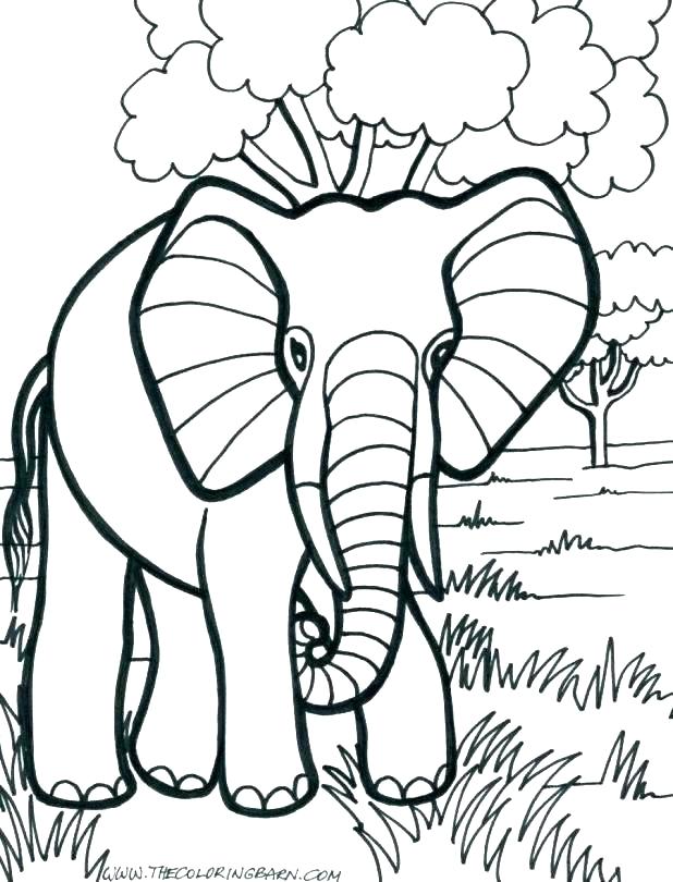 618x810 Cute Elephant Coloring Pages With Cute Baby Elephant Coloring Es E