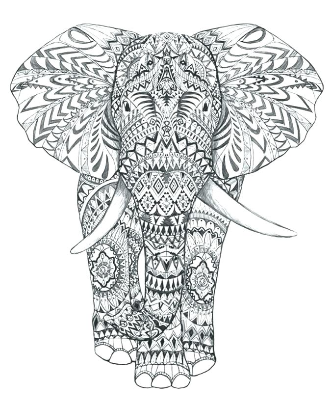 675x825 Free Coloring Pages Of Baby Elephants Circus Coloring Pages