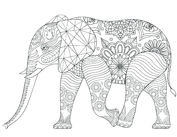 600x464 Free Elephant Coloring Pages Coloring Pages Of Elephants Plus