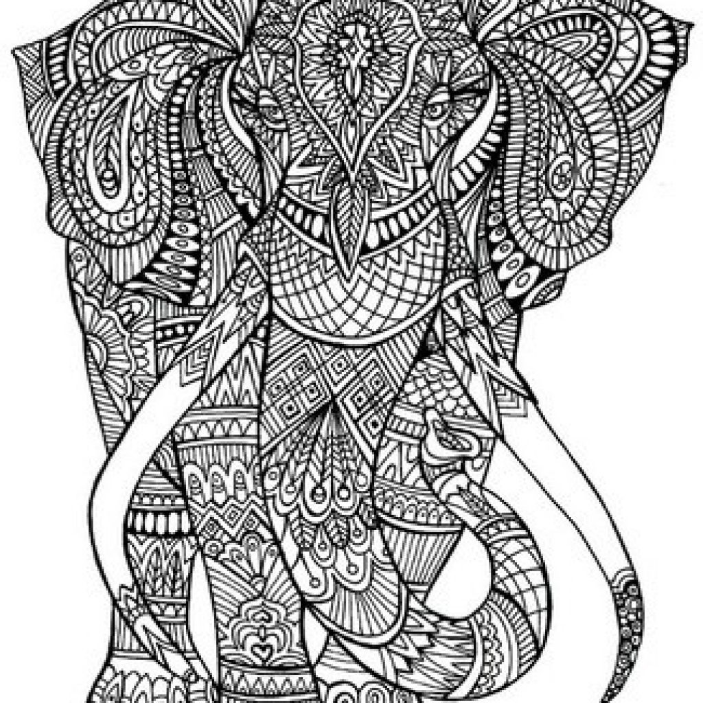 1024x1024 Adult Coloring Pages Elephant Free Printable For You Amazing Page