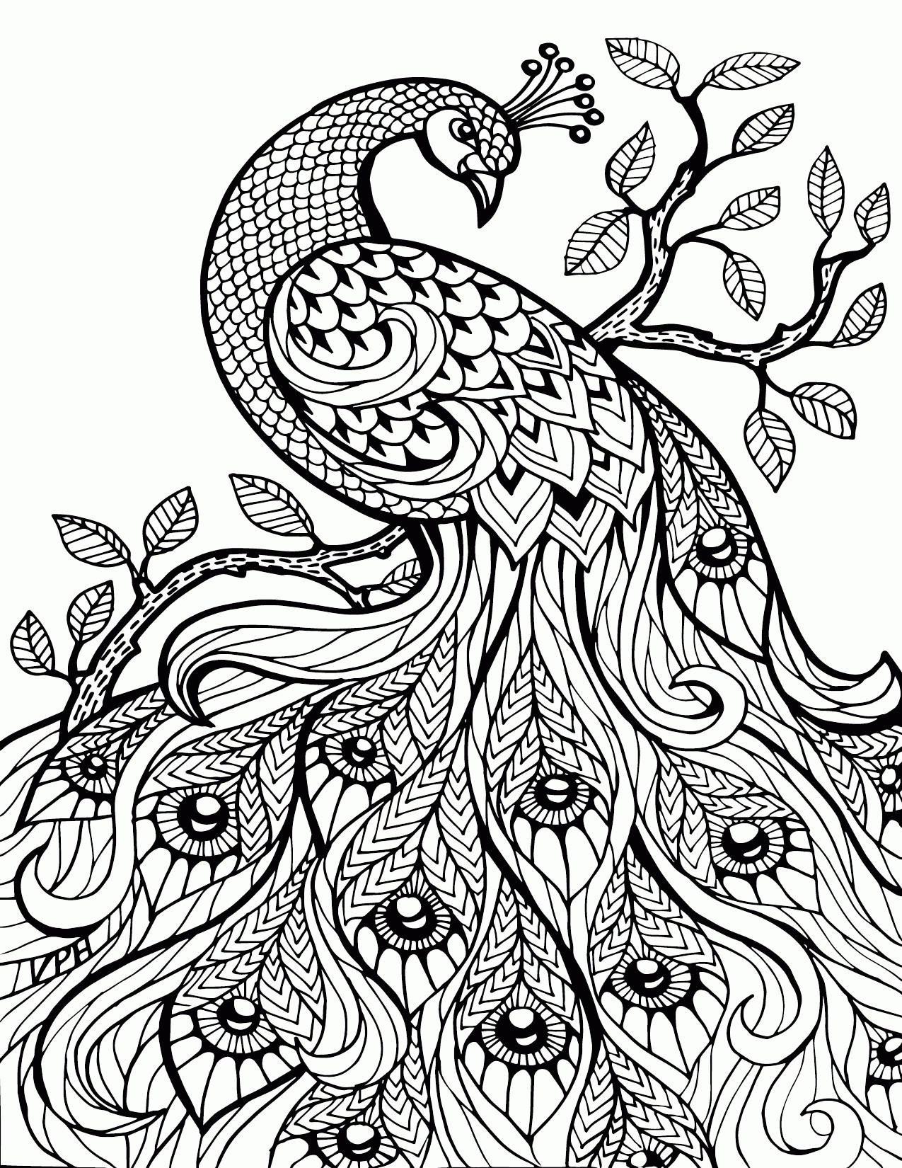 1275x1650 Printable Adult Coloring Pages Paisley H Stress Relief
