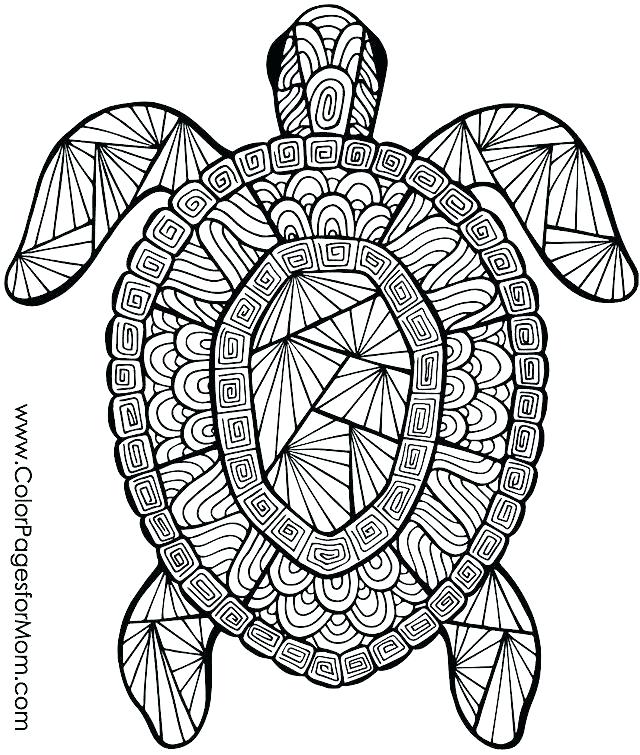 640x755 Coloring Pages Animal Wild Animals Coloring Pages Printable Animal