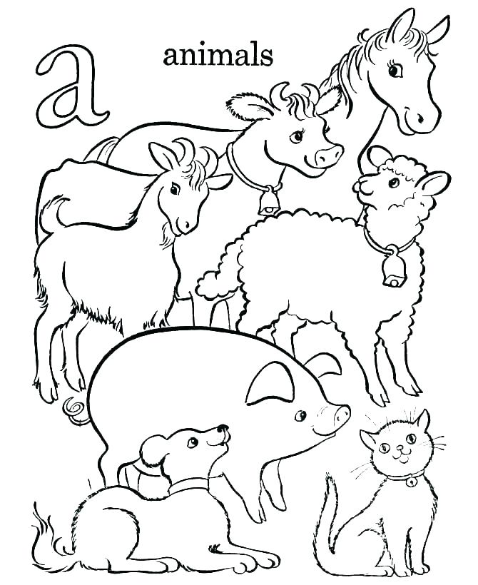 670x820 Printable Baby Animal Coloring Pages Medium Size Of Printable Baby