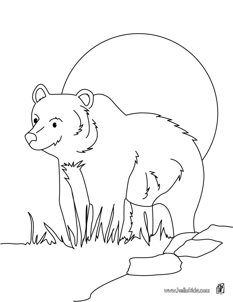 820x1060 Grizzly Bear Coloring Pages