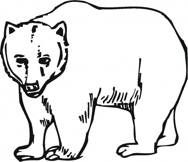 607x525 Pictures Of Bears To Colour In Bear Coloring Pages Coloring Kids