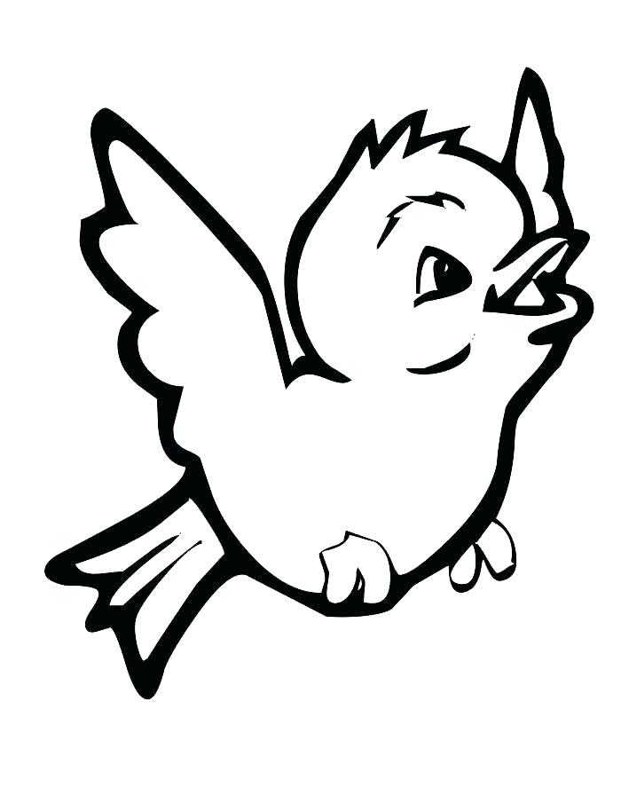 700x906 Cardinal Bird Coloring Page Bird Coloring Pages Printable Coloring