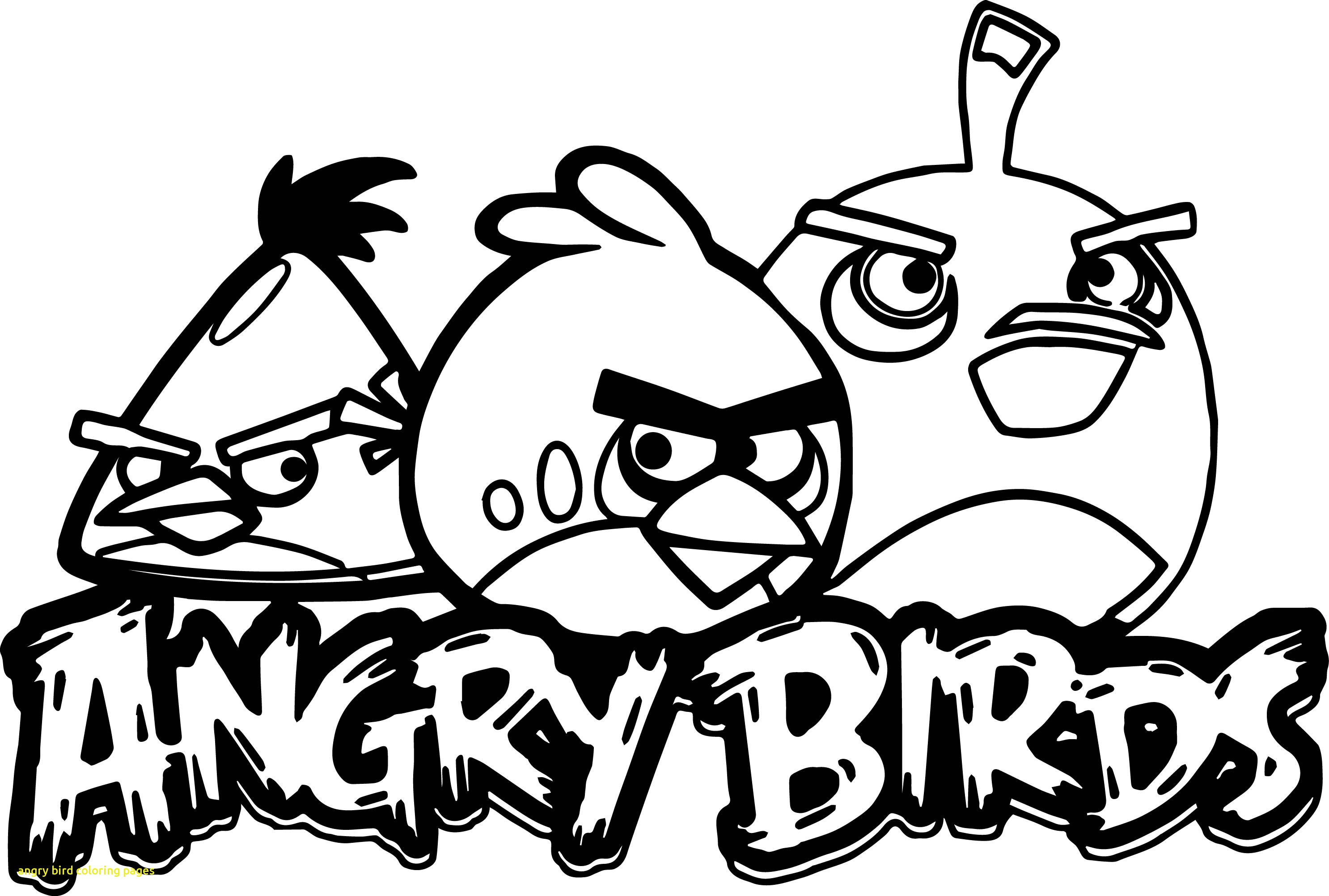 2972x2005 Angry Birds Pictures Gallery Colouring Pages