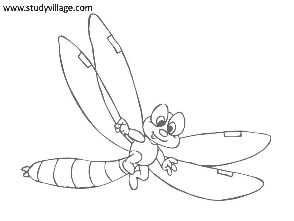 960x720 Best Photos Of Printable Insect Coloring Pages