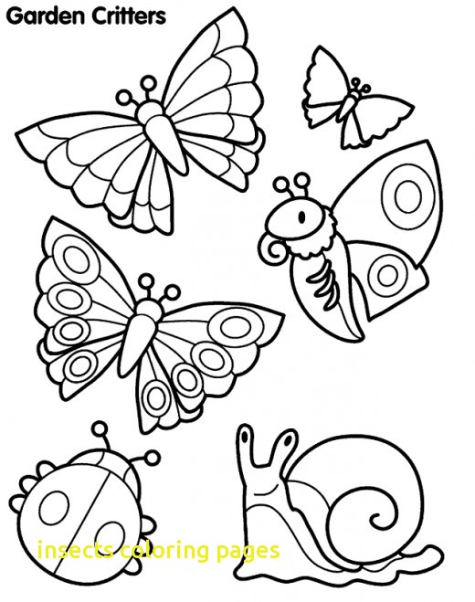520x659 Insects Coloring Pages With Coloring Pages Insects Free