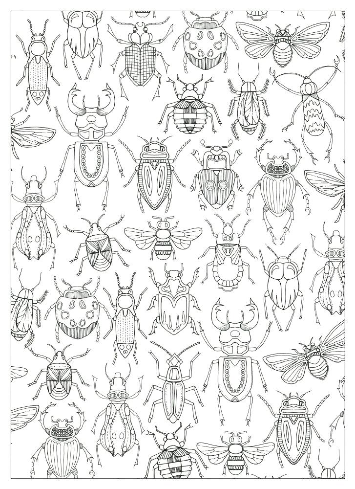 727x1000 Coloring Bugs Bugs Life Coloring Pages Printable Bugs Coloring
