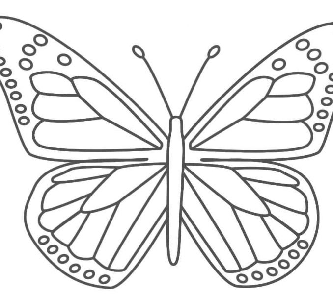 678x600 Butterfly Images Printable Endless Creations With Butterfly