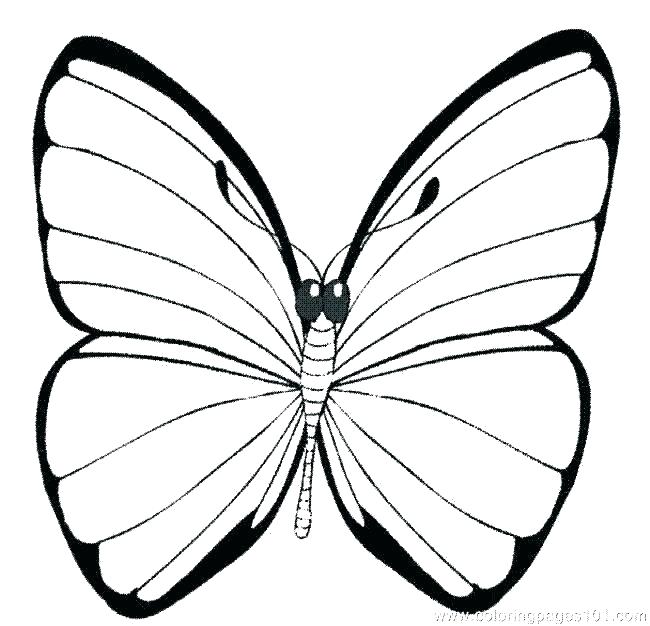 650x626 Butterfly Printable Coloring Pages Monarch Butterfly Coloring