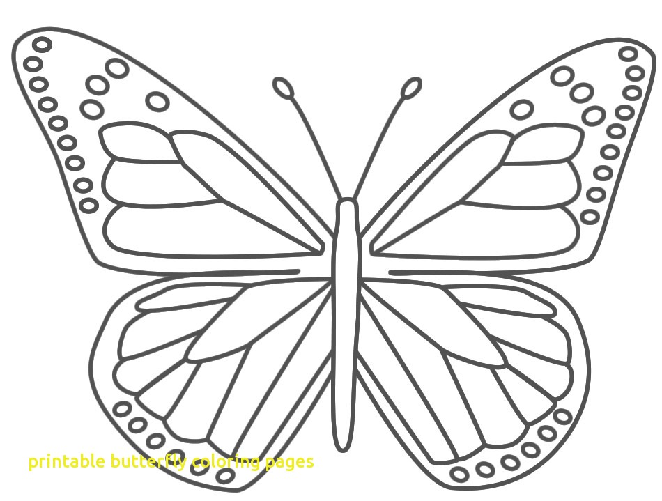 950x719 Free Printable Butterfly Pictures Printable Butterfly Coloring